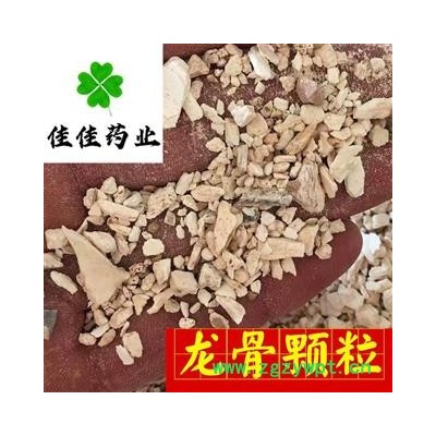 龙骨 正品 龙骨颗粒 实物图 吸舌 诚信铸就未来 产地 甘肃省