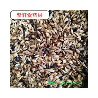 麦芽  炒麦芽 统 产地 山东省 产地直销 大货供应
