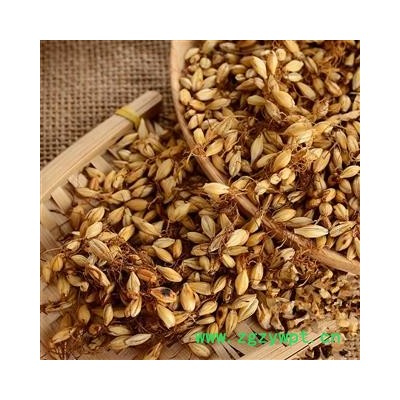 麦芽 炒麦芽 个个有芽 为冲销量 低价售 量大价格再优惠