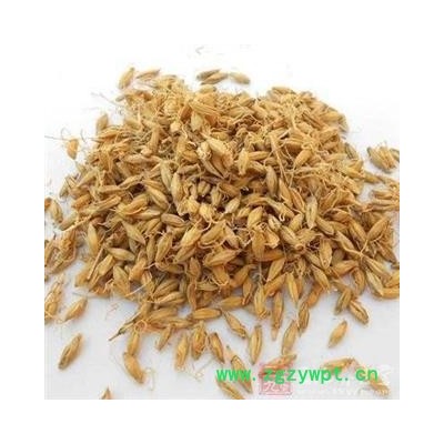 麦芽 麦芽统货 产地 河南省 产地直销  重在质量