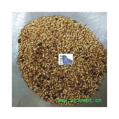 麦芽 炒麦芽 统货 纯干 无虫蛀 国峰药业 重在品质 产地 山东省