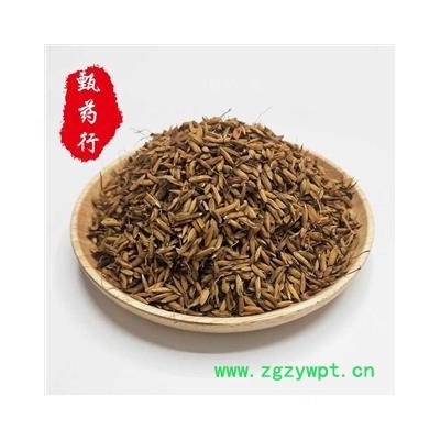 谷芽 统货 一手货源批发1公斤装炒谷芽 甄选药材行 为你真选好药材