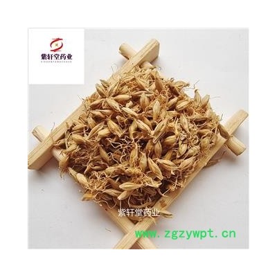 麦芽 生麦芽带芽多 产地直销实物拍摄 产地山东省