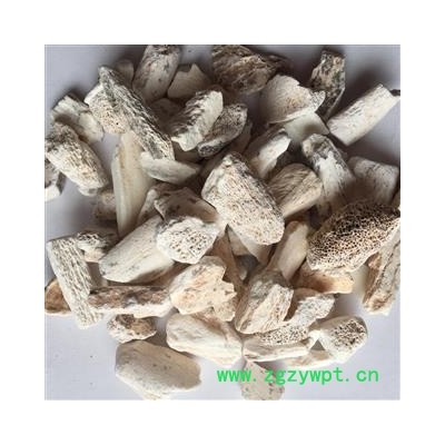 龙骨 水洗龙骨 符合药典 地道药材 产地直销  产地 甘肃省