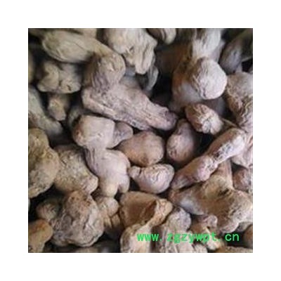 炮姜 统货 产地 广西壮族自治区