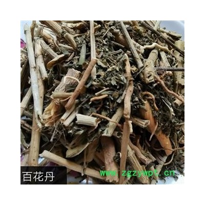 百花丹 白花丹 山坡芩 假茉莉 千里及 乌面马、白雪花