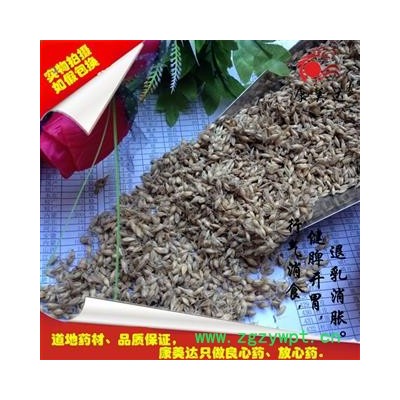 麦芽 生麦芽（全芽） 产地 河南省