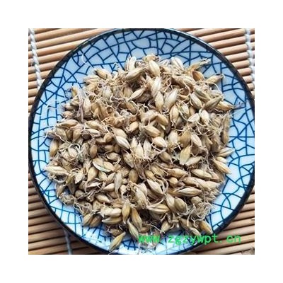 麦芽 精品选装 生麦芽 个个带芽 为冲销量 低价售 精品好药尽在七彩百草