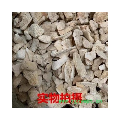 实图拍摄新货水洗锻龙骨炒锻龙骨 产地 甘肃省