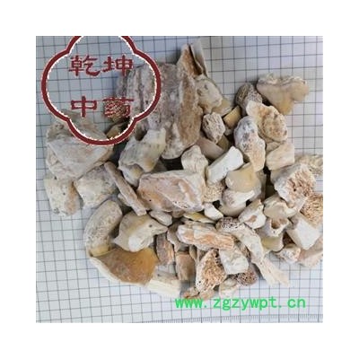 龙齿 选货  包正品 产地 宁夏回族自治区【品种齐全 诚信经营】