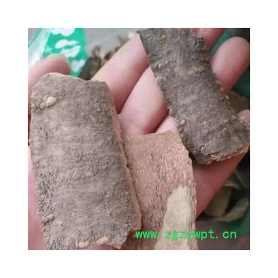 安祁名药正品木姜子 豹皮樟 毛豹皮樟
