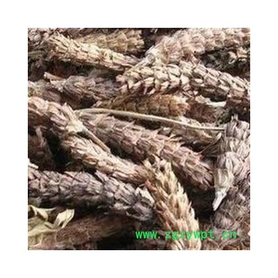 夏枯球 中药材批发 产地 河南省平顶山市卫东区 库存 1000公斤可售