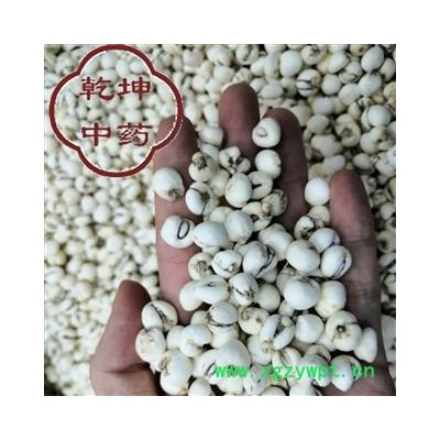 平贝母 磨贝，防川贝，吉林，选货 产地 吉林省 批发各种中药材 【诚信经营 品种齐全】