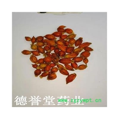 栀子 选  野生小栀子 产地 江西省  德誉堂批发各种中药材