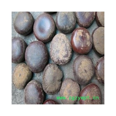 榼藤子 木腰子 过江龙子 阴阳子 九龙藤子  德誉堂药业批发各种中药材