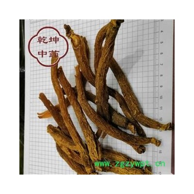 红参 无糖红参  60支 产地 吉林省【品种齐全 诚信经营】