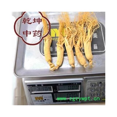 人参 东北老参  生晒参25支 产地 吉林省【品种齐全 诚信经营】