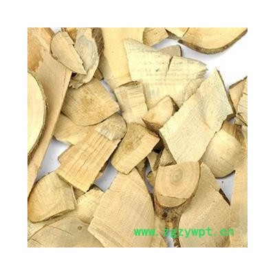 毛冬青 统货 产地 山东省