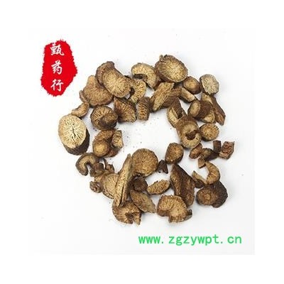 木香 川木香圆片统片 产地 四川省 1公斤装