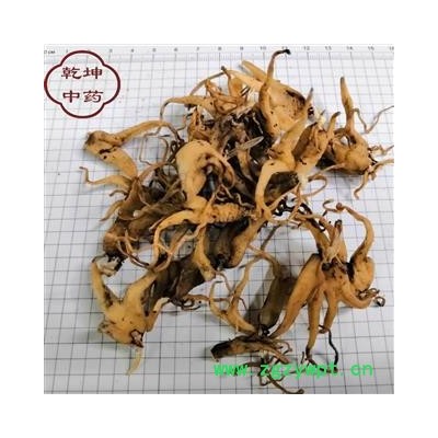 手掌参 好统货 产地 四川省 批发各种中药材 【诚信经营 品种齐全】