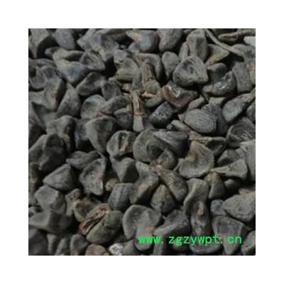 冬葵子 选 冬葵子 产地 河南省 德誉堂药业批发各种中药材