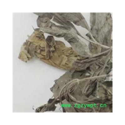 安祁名药正品五指柑