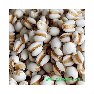 薏苡仁 选 产地 贵州省遵义市余庆县