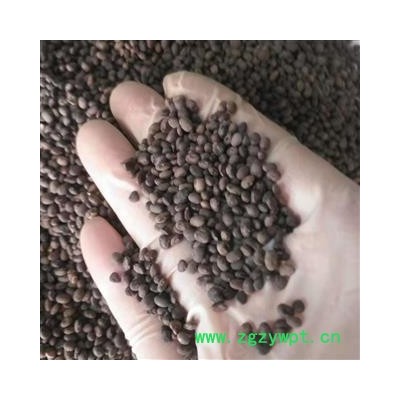 安祁名药正品黑豆 黑料豆 马豆