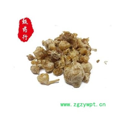 薤白 薤白新货统货 产地 陕西省 1公斤装