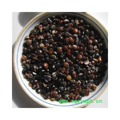 枳椇子 选 枳椇子 产地 福建省 德誉堂药业批发各种中药材