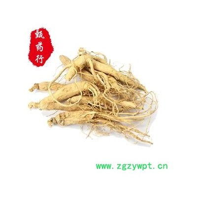 人参60支精选货特价 参龄5年以上 生晒参原皮参无硫选货 一手货源批发 产地吉林 甄选药材行 为你真选好药材