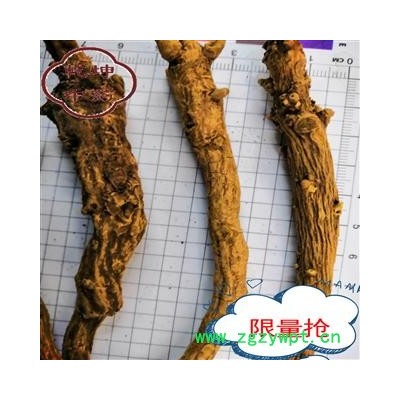 黄芩 刮皮去芦头个子 产地 山西省[强烈推荐，可开发票]
