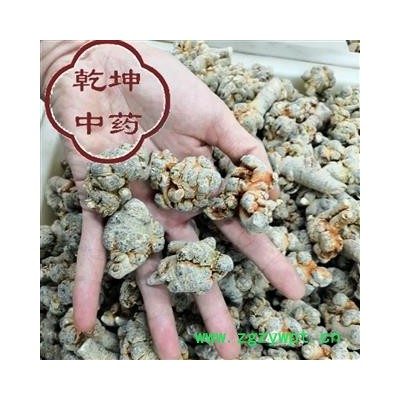 三七 文山三七30头   精选 产地 云南省文山壮族苗族自治州【品种齐全 诚信经营】