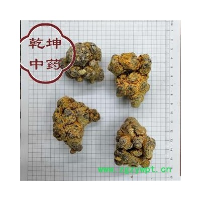 三七 16头 足干 包含量 产地 云南省文山壮族苗族自治州【品种齐全 诚信经营】