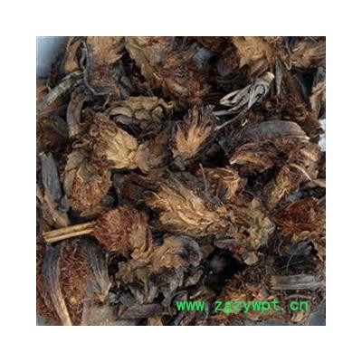 贯众 统 产地 四川省 产地直销 重在质量