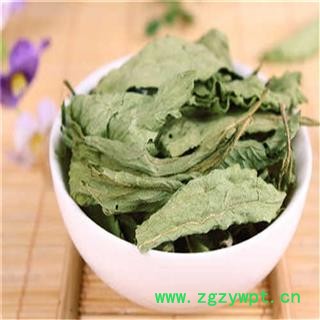 甜叶菊 统  甜菊叶   产地 四川省