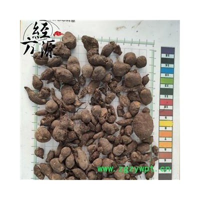 三叶青D 金线吊葫芦 三叶青统个  产地 浙江省