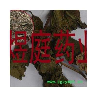 煜庭药业 臭梧桐叶 正品