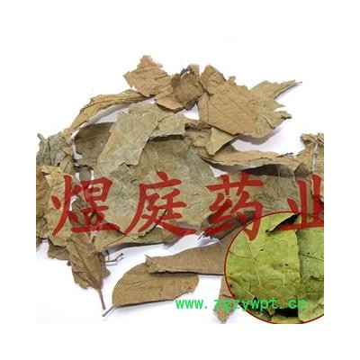 煜庭药业 布渣叶 麻布叶 破布叶 正品