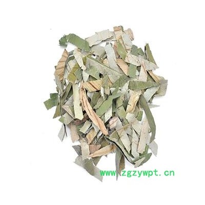 荷叶 统货 产地 山东省青岛市四方区