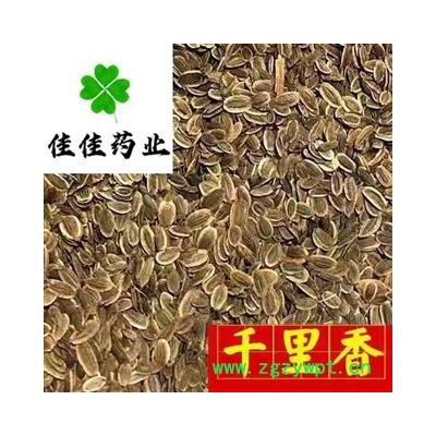 千里香 九里香统货 产地 北京市 无杂质 供应各种中药材