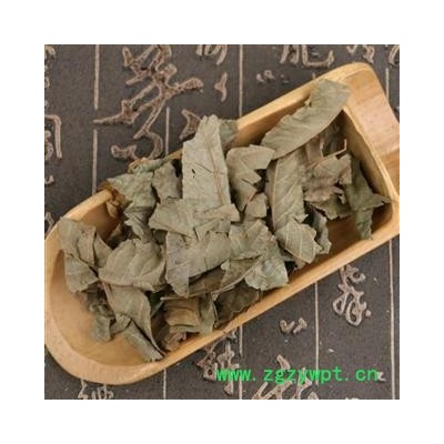 青钱柳叶 统货 产地 云南省