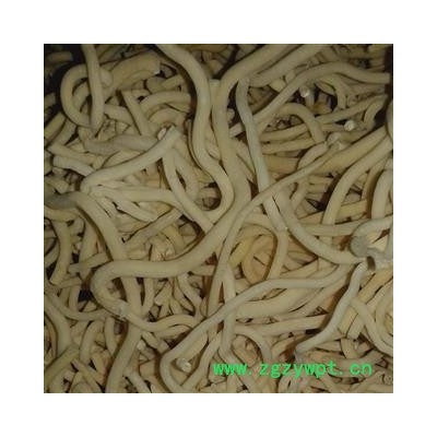 通草 中大个 产地 四川省资阳市乐至县