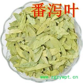 番泻叶 统 大货青叶  精选货物  片片精选量大从优