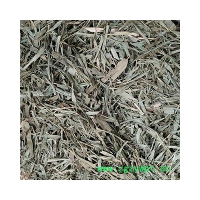 竹叶 竹子叶，竹竿叶 ，产地 河南省