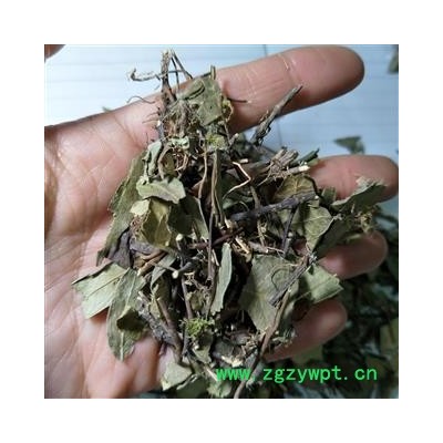 络石藤 络石藤统段 产地 湖北省