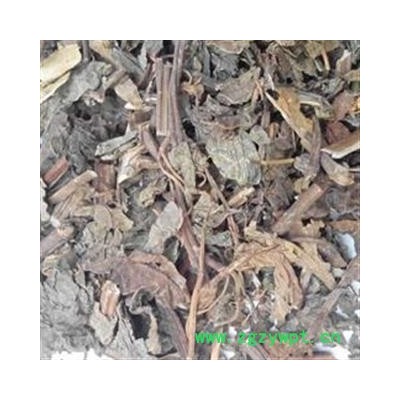 灵吉药业  紫苏叶 地道药材 货真价实  批发各种规格中药材  矿石  花茶 野生冷背中药材