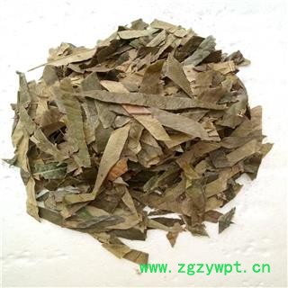 枇杷叶 枇杷叶绿色统段 产地 青货无杂质  大货专营