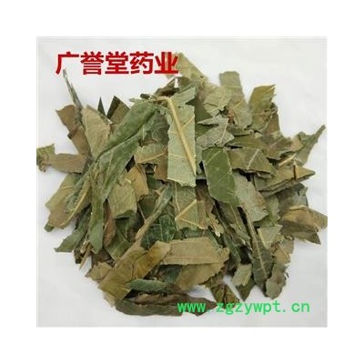 枇杷叶 枇杷叶统片云南 产地 云南省