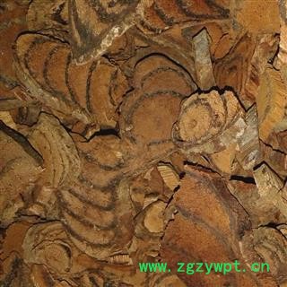 鸡血藤 片统 产地 广西壮族自治区玉林市北流市